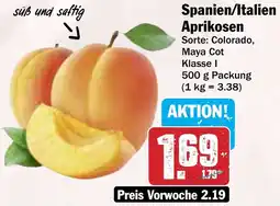 Hit Spanien/Italien Aprikosen Angebot