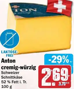 Hit Anton cremig-würzig Angebot