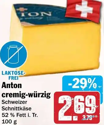 Hit Anton cremig-würzig Angebot
