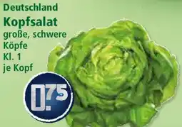 Klaas und Kock Deutschland Kopfsalat Angebot