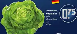 Klaas und Kock Deutschland Kopfsalat Angebot