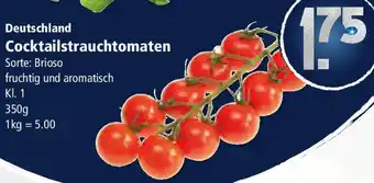 Klaas und Kock Deutschland Cocktailstrauchtomaten Angebot