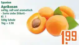Klaas und Kock Spanien Aprikosen Angebot