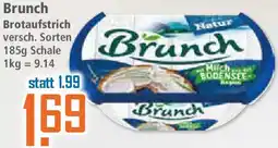Klaas und Kock Brunch Brotaufstrich Angebot