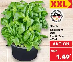 Kaufland Dtsch. Basilikum XXL Angebot