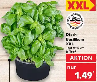 Kaufland Dtsch. Basilikum XXL Angebot