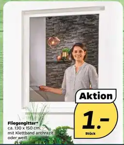 NETTO Fliegengitter Angebot