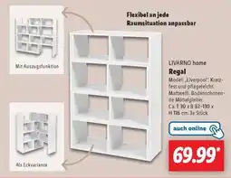 Lidl LIVARNO home Regal Angebot