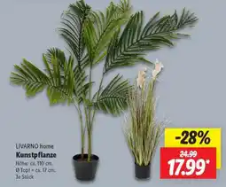 Lidl LIVARNO home Kunstpflanze Angebot
