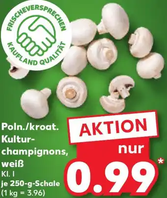 Kaufland Poln./kroat. Kulturchampignons, weiß Angebot