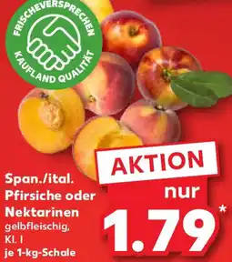 Kaufland Span./ital. Pfirsiche oder Nektarinen Angebot
