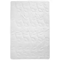 XXXLutz Billerbeck Sommerbett Madhuri Superlight Angebot