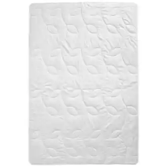 XXXLutz Billerbeck Sommerbett Madhuri Superlight Angebot