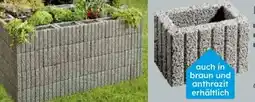 Globus Baumarkt Hochbeet Minipflanzstein Angebot