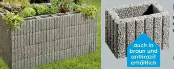 Globus Baumarkt Hochbeet Minipflanzstein Angebot