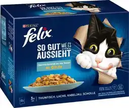 Globus Baumarkt Purina Felix Katzenfutter Angebot
