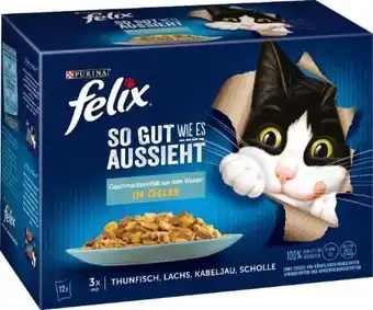 Globus Baumarkt Purina Felix Katzenfutter Angebot