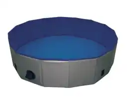 Globus Baumarkt Hundepool Angebot