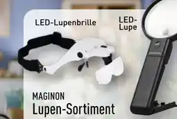Aldi Nord Maginon Lupen-Sortiment Angebot