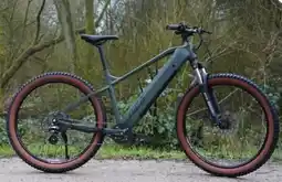 Aldi Nord Prophete E-Mountainbike Dice 1.3 Angebot