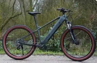 Aldi Nord Prophete E-Mountainbike Dice 1.3 Angebot