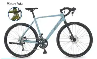 Aldi Nord Prophete Gravel Bike GravelerFit Angebot