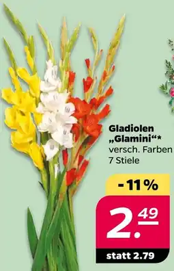 NETTO Gladiolen „Glamini" Angebot