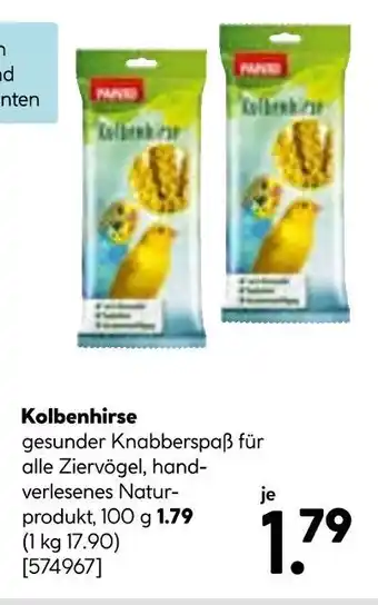 Hellweg Padovan kolbenhirse Angebot
