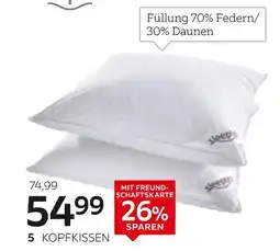 XXXLutz Sleeptex kopfkissen „ice“ Angebot