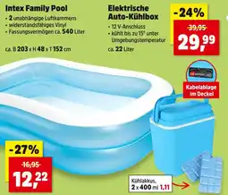 Thomas Philipps Intex family pool Angebot