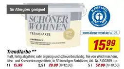 toom Baumarkt Schöner wohnen trendfarbe Angebot