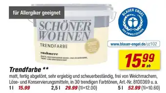 toom Baumarkt Schöner wohnen trendfarbe Angebot