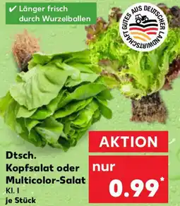 Kaufland Dtsch. Kopfsalat oder Multicolor-Salat Angebot