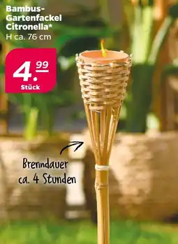 NETTO Bambus Gartenfackel Citronella Angebot