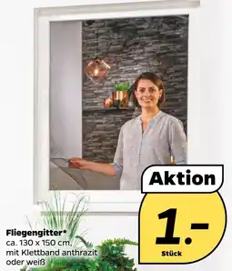 NETTO Fliegengitter Angebot