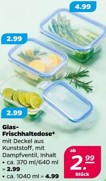 NETTO Glas Frischhaltedose Angebot