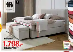 Hofmeister Musterring boxspringbett „felina basic“ Angebot