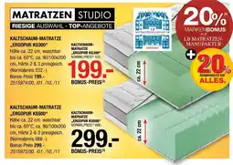 Hofmeister Kaltschaum-matratze Angebot