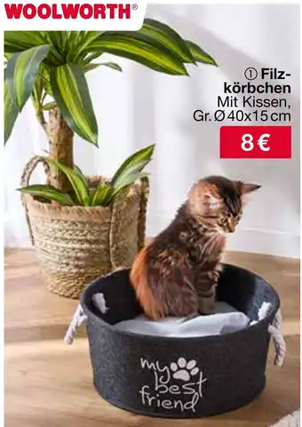 Woolworth Filz- körbchen Angebot