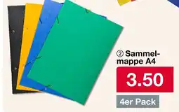 Woolworth Sammel- mappe A4 Angebot