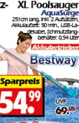 Wreesmann XL Poolsauger AquaSurge Bestway Angebot