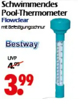 Wreesmann Schwimmendes Pool-Thermometer Flowclear Bestway Angebot