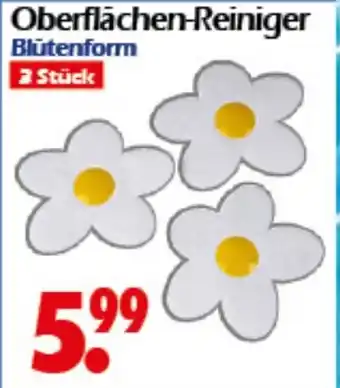 Wreesmann Oberflächen-Reiniger Blütenform Angebot
