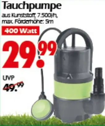 Wreesmann Tauchpumpe Angebot
