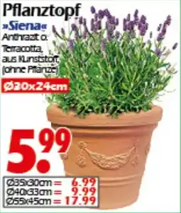 Wreesmann Pflanztopf Sienag Angebot