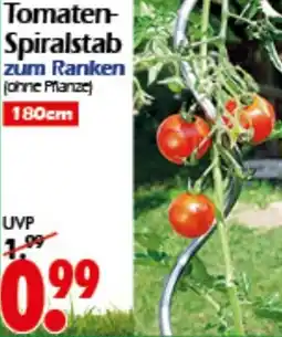 Wreesmann Tomaten- Spiralstab Angebot