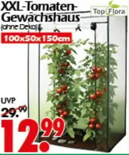 Wreesmann Top Flora XXL-Tomaten Gewächshaus Angebot