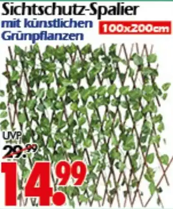 Wreesmann Sichtschutz-Spalier Angebot