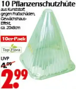 Wreesmann 10 Pflanzenschutzhüte Top Flora Angebot