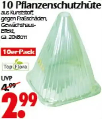 Wreesmann 10 Pflanzenschutzhüte Top Flora Angebot